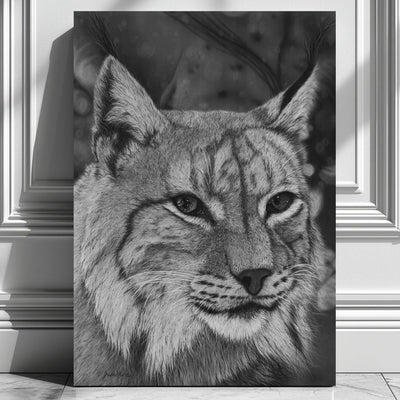 Cuadro decorativo moderno de un lince ibérico hecho a carboncillo por el artista David Mateo.