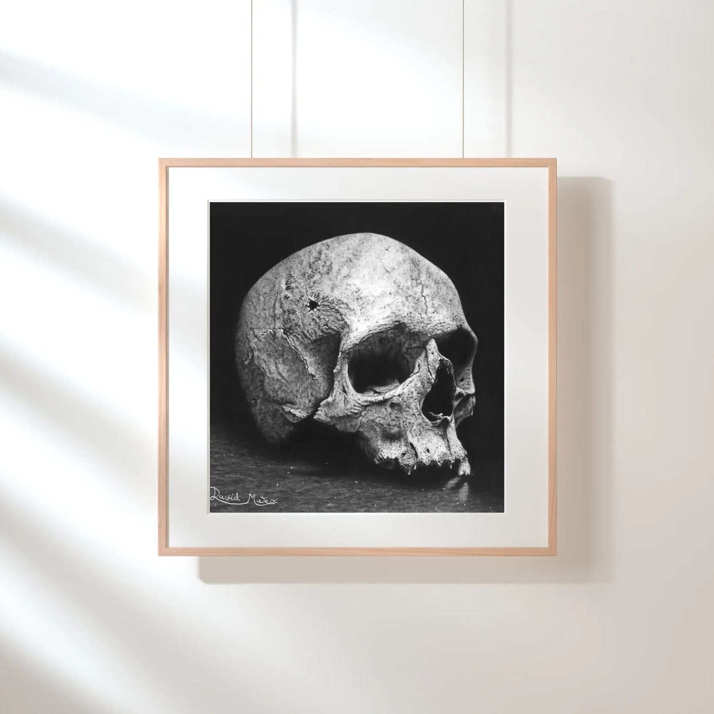 Dibujo a lápiz de un cráneo antiguo con daños visibles, capturando la historia a través de la anatomía. Un potente ejemplo de la técnica Vanitas en el arte moderno. Decoración de interiores.