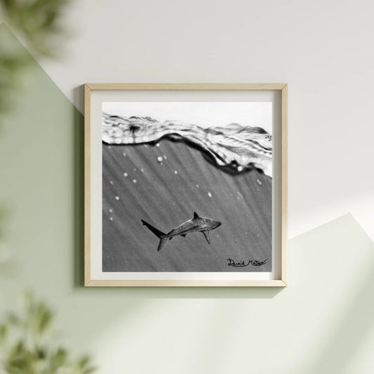 Lámina decorativa de arte animal de un tiburón en un marco de madera en un fondo minimalista. 