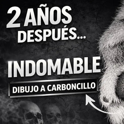 Video YouTube del proceso creativo completo de un dibujo a lápiz en hiperrealismo de una zarpa de tigre a carboncillo.