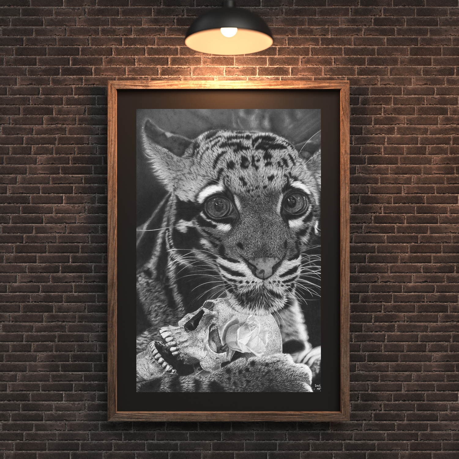 Láminas Fine Art de alta calidad del artista David Mateo, con dibujos hiperrealistas de retratos y animales.