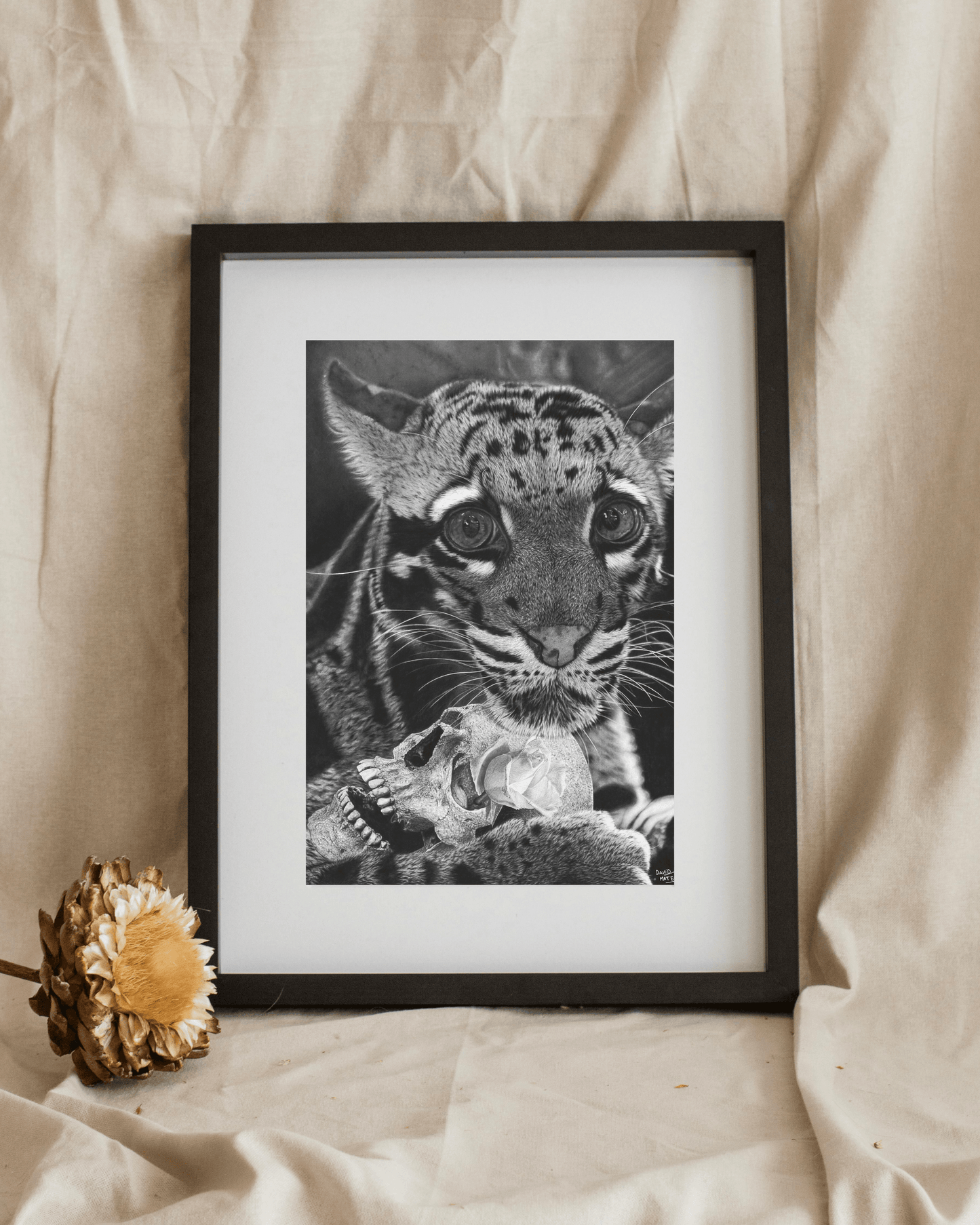 Lámina artística “El Último Sapiens” | Dibujo realista en blanco y negro