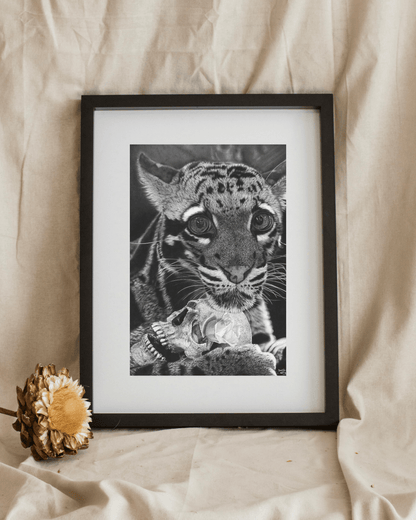 Lámina artística “El Último Sapiens” | Dibujo realista en blanco y negro