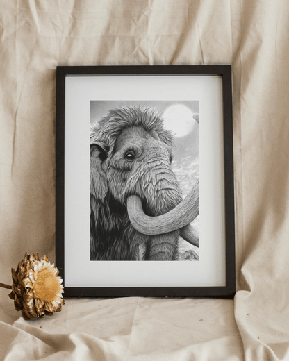 Lámina Fine Art "Lanudo": Retrato de Mamut a Carboncillo