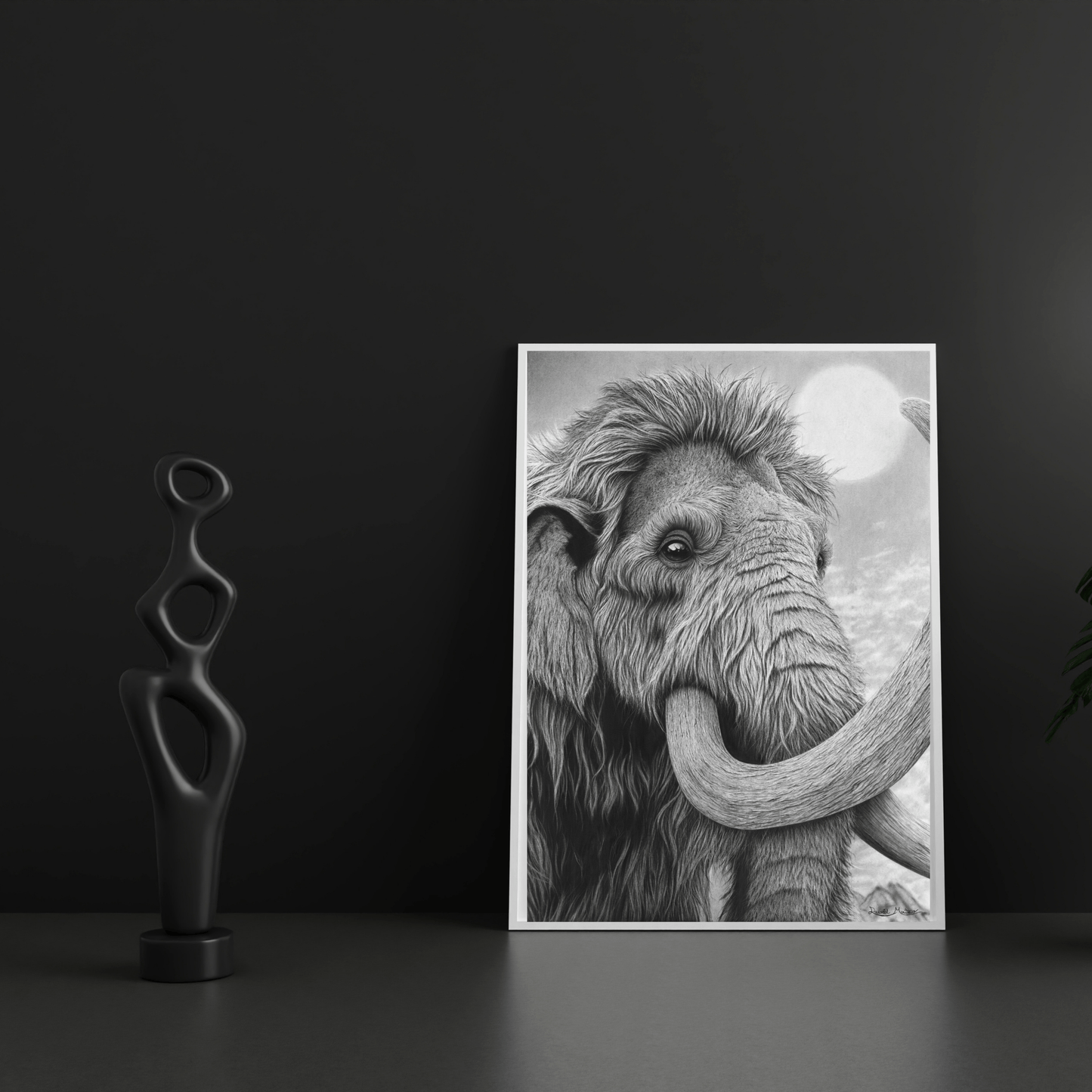 Lámina Fine Art "Lanudo": Retrato de Mamut a Carboncillo