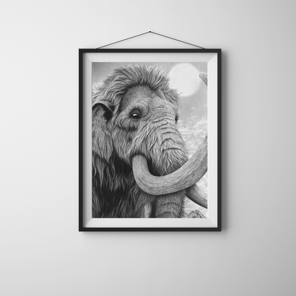 Lámina Fine Art "Lanudo": Retrato de Mamut a Carboncillo