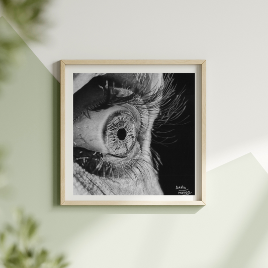 Lámina "Ojo por Ojo" - Dibujo Hiperrealista del Iris