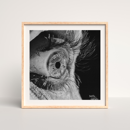 Lámina "Ojo por Ojo" - Dibujo Hiperrealista del Iris