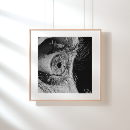 Lámina "Ojo por Ojo" - Dibujo Hiperrealista del Iris