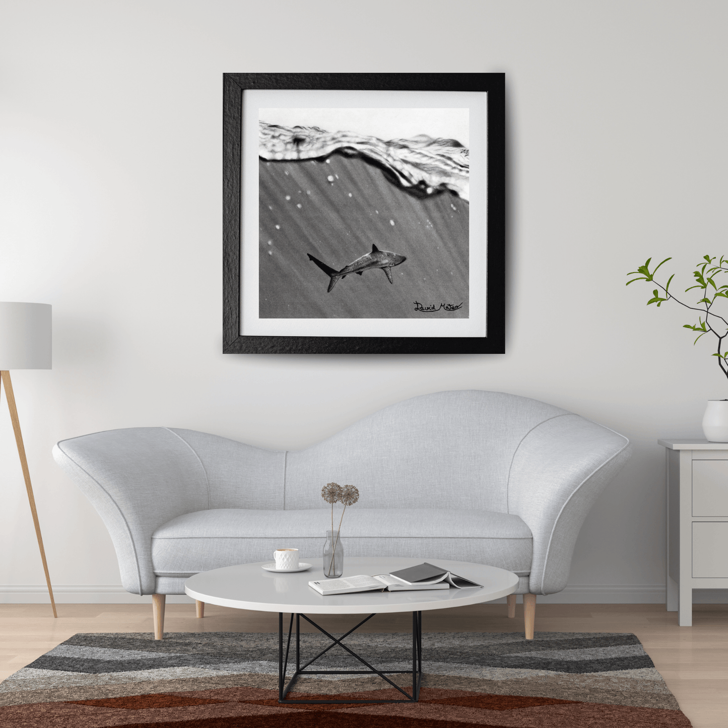 Lámina "Shark" – Dibujo Hiperrealista de Tiburón en Carboncillo