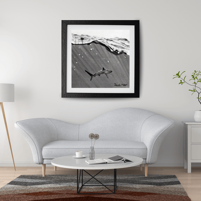 Lámina "Shark" – Dibujo Hiperrealista de Tiburón en Carboncillo