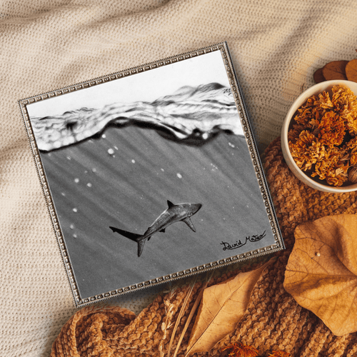 Lámina "Shark" – Dibujo Hiperrealista de Tiburón en Carboncillo