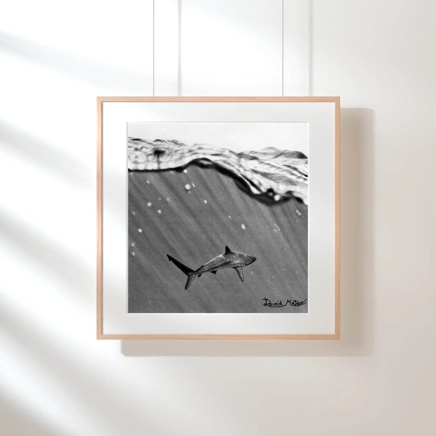 Impresión artística para pared de un tiburón. Retrato de la majestuosidad y el peligro del mar en un dibujo detallado y de alto contraste.