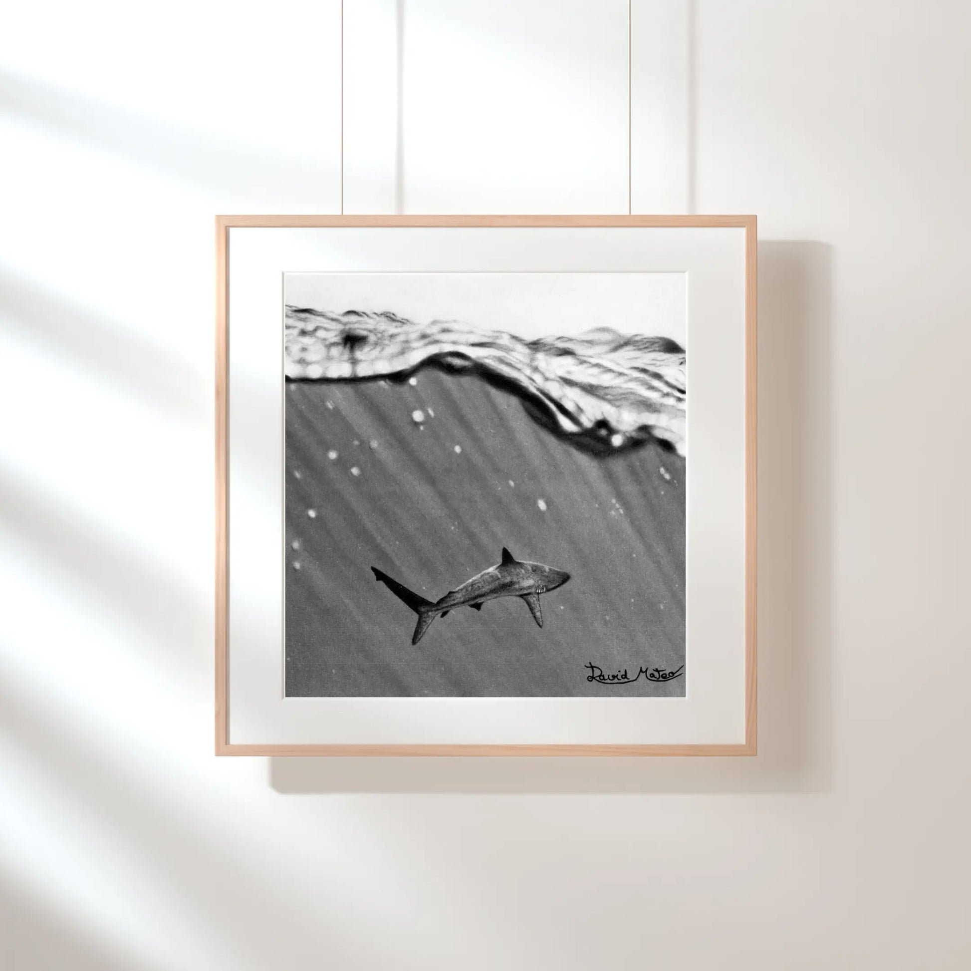 Impresión artística para pared de un tiburón. Retrato de la majestuosidad y el peligro del mar en un dibujo detallado y de alto contraste.