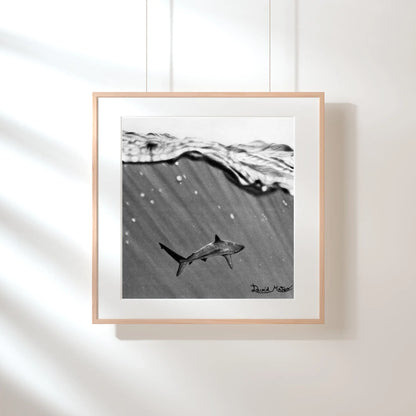 Impresión artística para pared de un tiburón. Retrato de la majestuosidad y el peligro del mar en un dibujo detallado y de alto contraste.