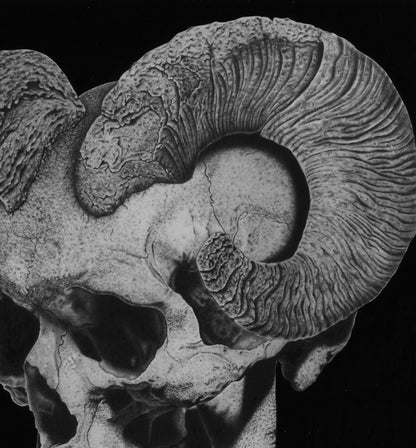 Mockup de la obra “Cabravera” colgada en una pared minimalista, estilo galería de arte.