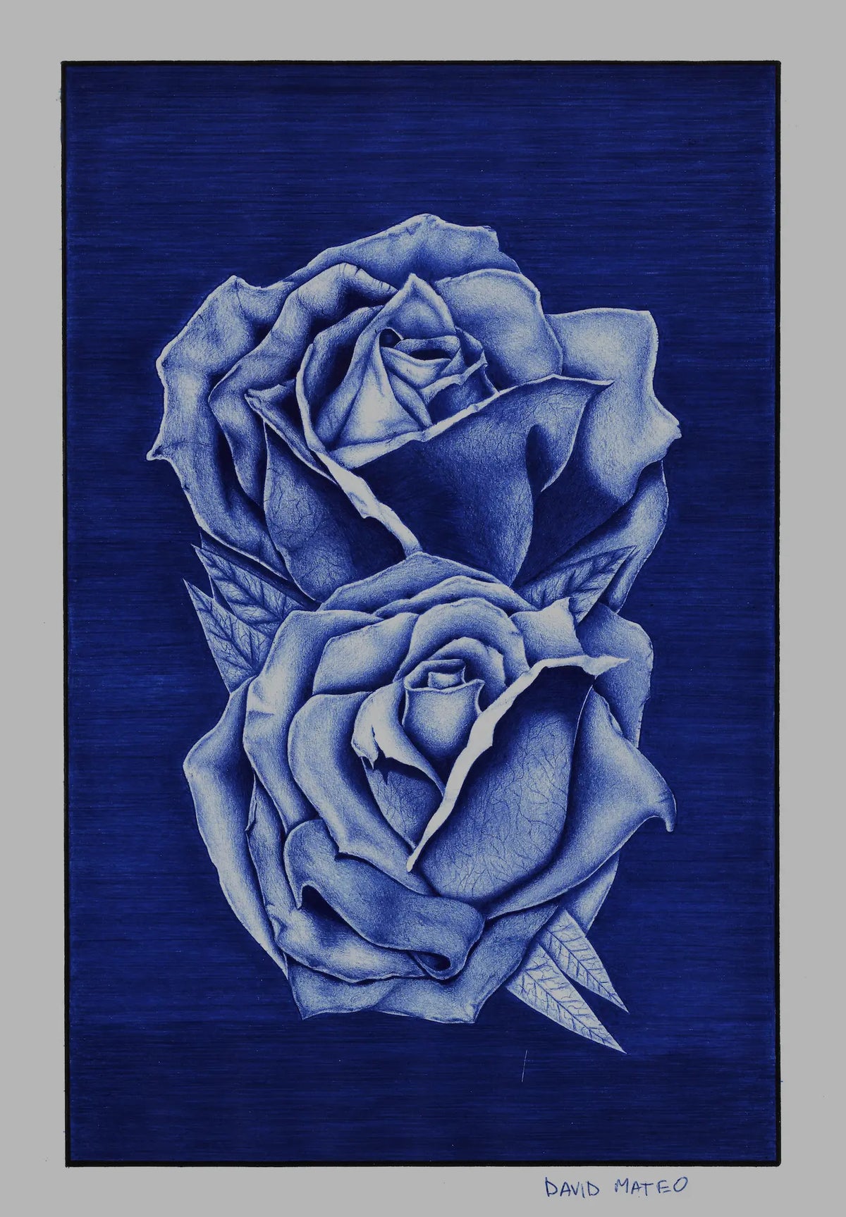 Cuadro decorativo moderno de dos rosas dibujadas a mano con bolígrafo por David Mateo.