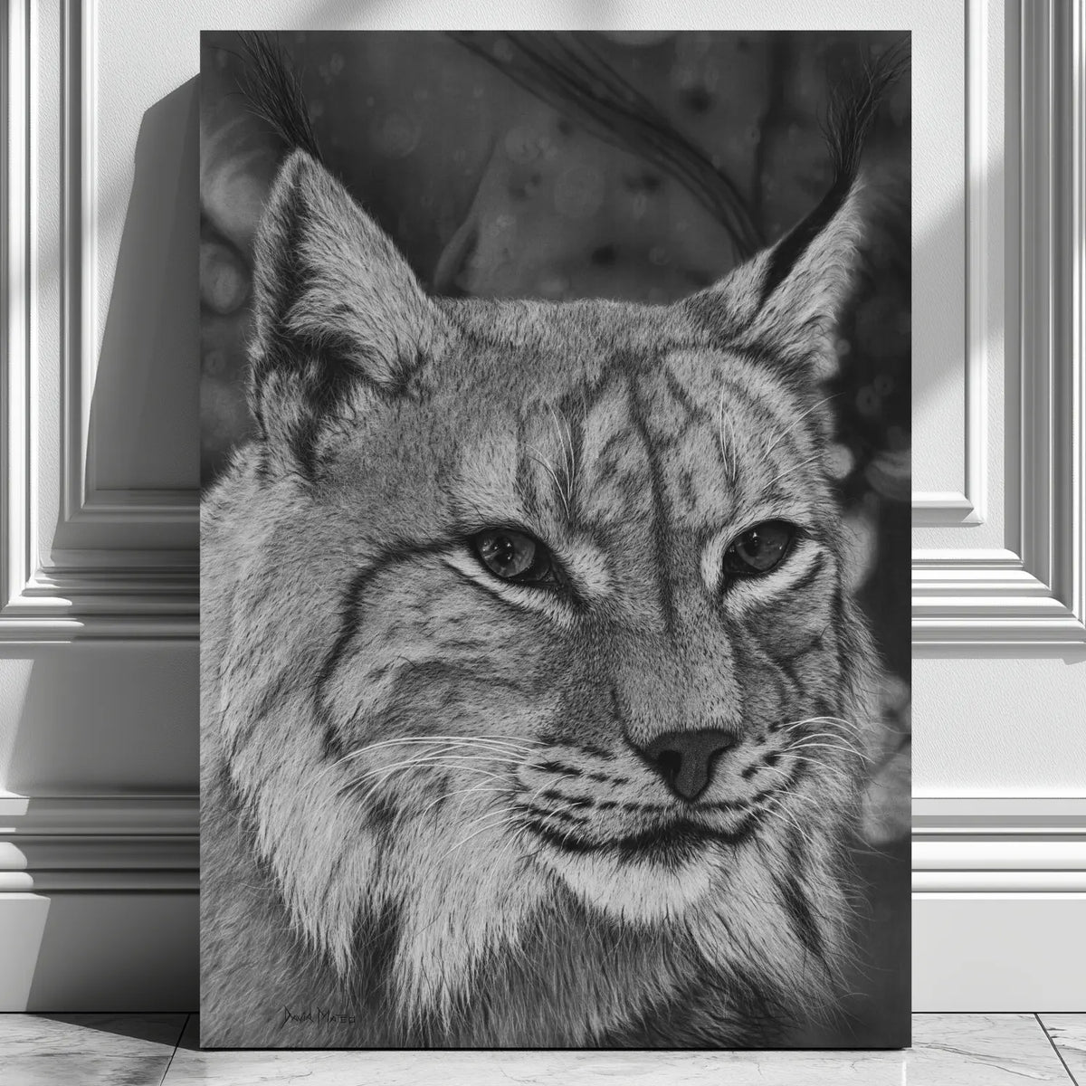 Cuadro decorativo moderno de un lince ibérico hecho a carboncillo por el artista David Mateo.