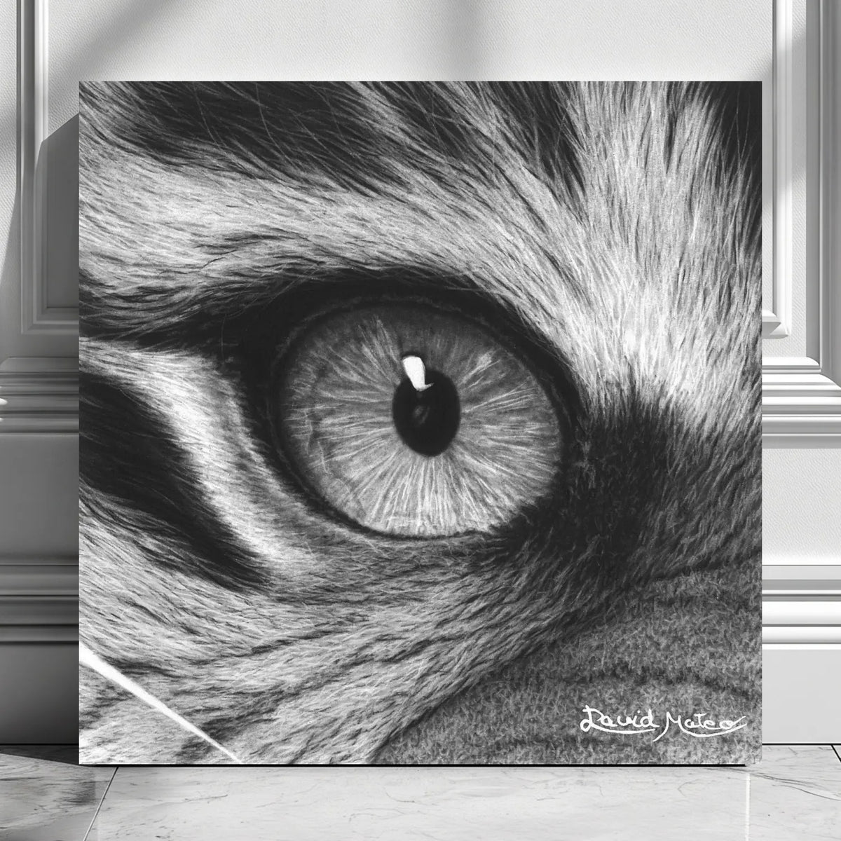 Cuadro decorativo moderno de un ojo de tigre en primer plano. Dibujo a lápiz realista de David Mateo.