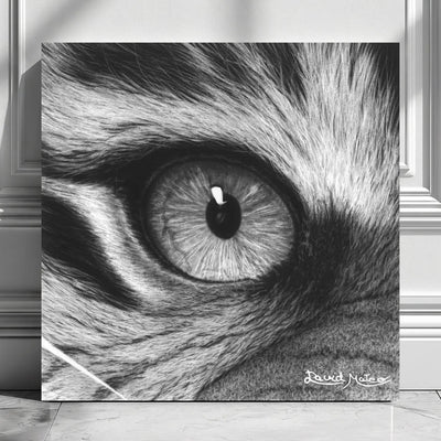 Cuadro decorativo moderno de un ojo de tigre en primer plano. Dibujo a lápiz realista de David Mateo.