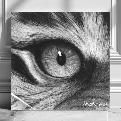 Cuadro decorativo moderno de un ojo de tigre en primer plano. Dibujo a lápiz realista de David Mateo.