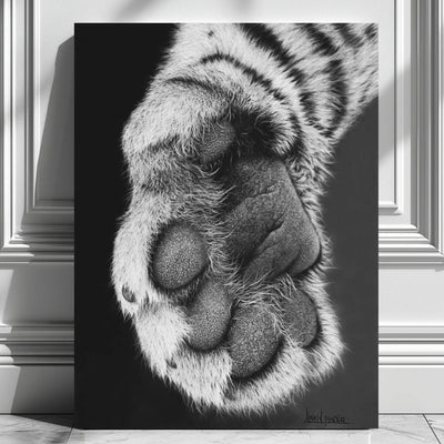 Cuadro moderno ideal para la decoración del hogar con una zarpa de tigre dibujado a mano por David Mateo.