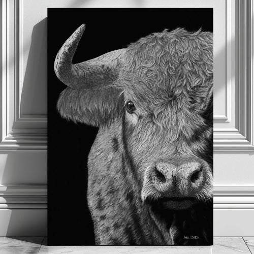 Cuadro moderno para pared de un toro bravo salvaje dibujado a mano por David Mateo.