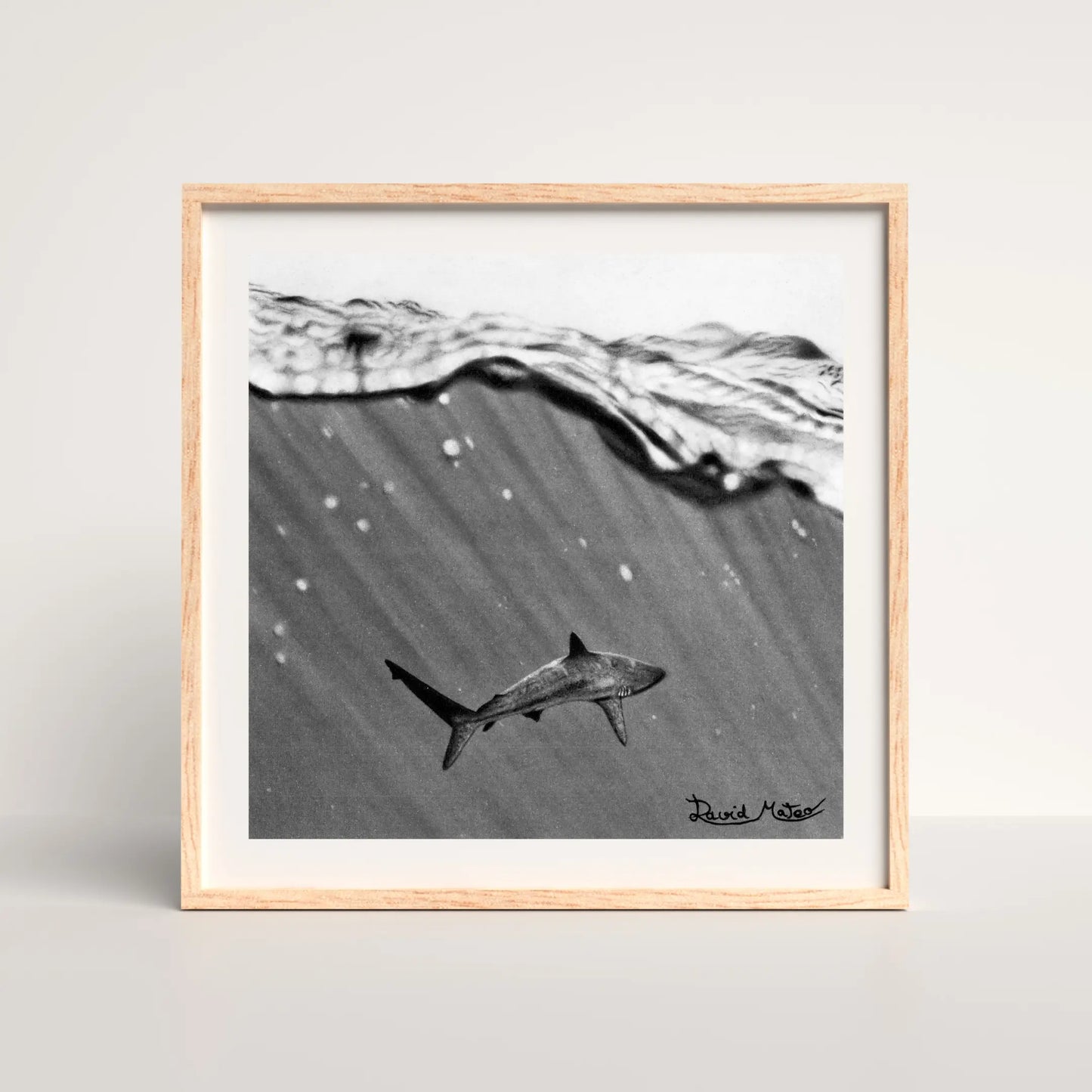 Lámina con la composición de un tiburón nadando bajo la línea de flotación. Arte hiperrealista del océano que captura los rayos de luz bajo la superficie del agua.