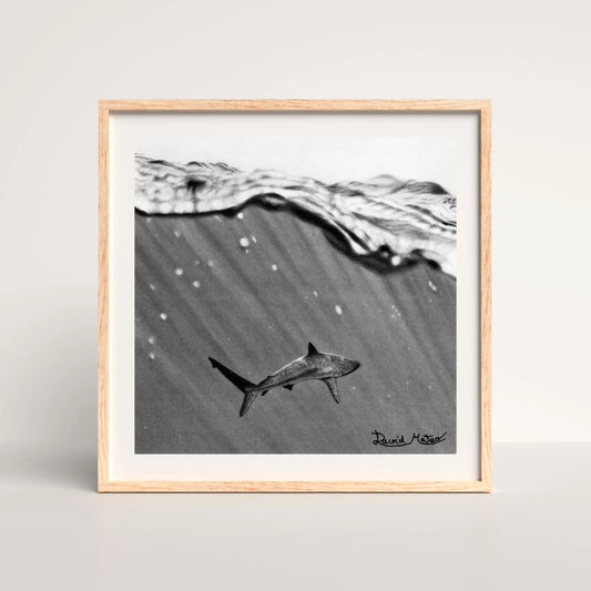 Lámina con la composición de un tiburón nadando bajo la línea de flotación. Arte hiperrealista del océano que captura los rayos de luz bajo la superficie del agua.