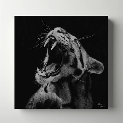 Dibujo a lápiz de carboncillo hiperrealista realizado con lápices de carbón sobre papel de un felino rugiendo por el artista David Mateo.