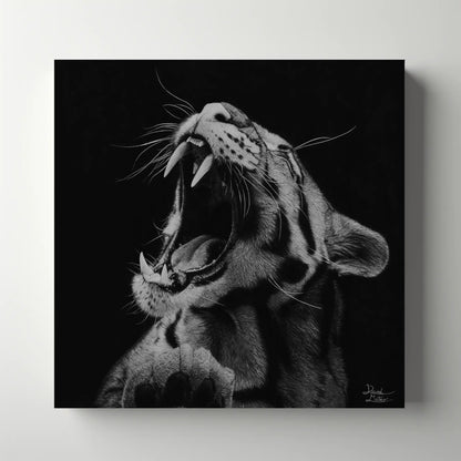 Dibujo hiperrealista realizado con lápices de carbón sobre papel de un felino rugiendo por el artista David Mateo.