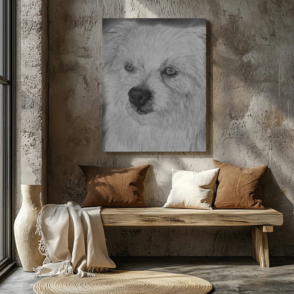Dibujo hiperrealista de un perro blanco hecho con lápices de grafito sobre papel, en formato lámina colgado en una pared junto a una ventana.