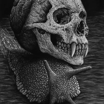 Dibujo a lápiz de carboncillo de un caracol gótico del artista David Mateo.