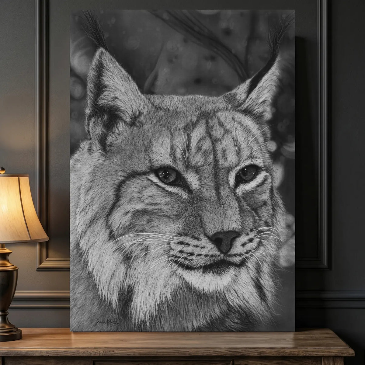Dibujo a lápiz de carboncillo de un lince ibérico del artista David Mateo.