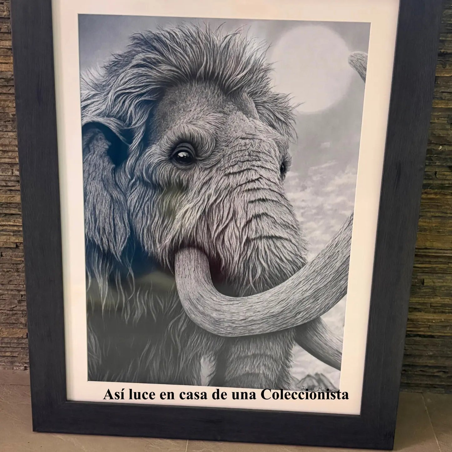 Dibujo a lápiz de carboncillo de un mamut lanudo enmarcado en madera con cristal anti reflejos. Foto cedida por la clienta satisfecha.