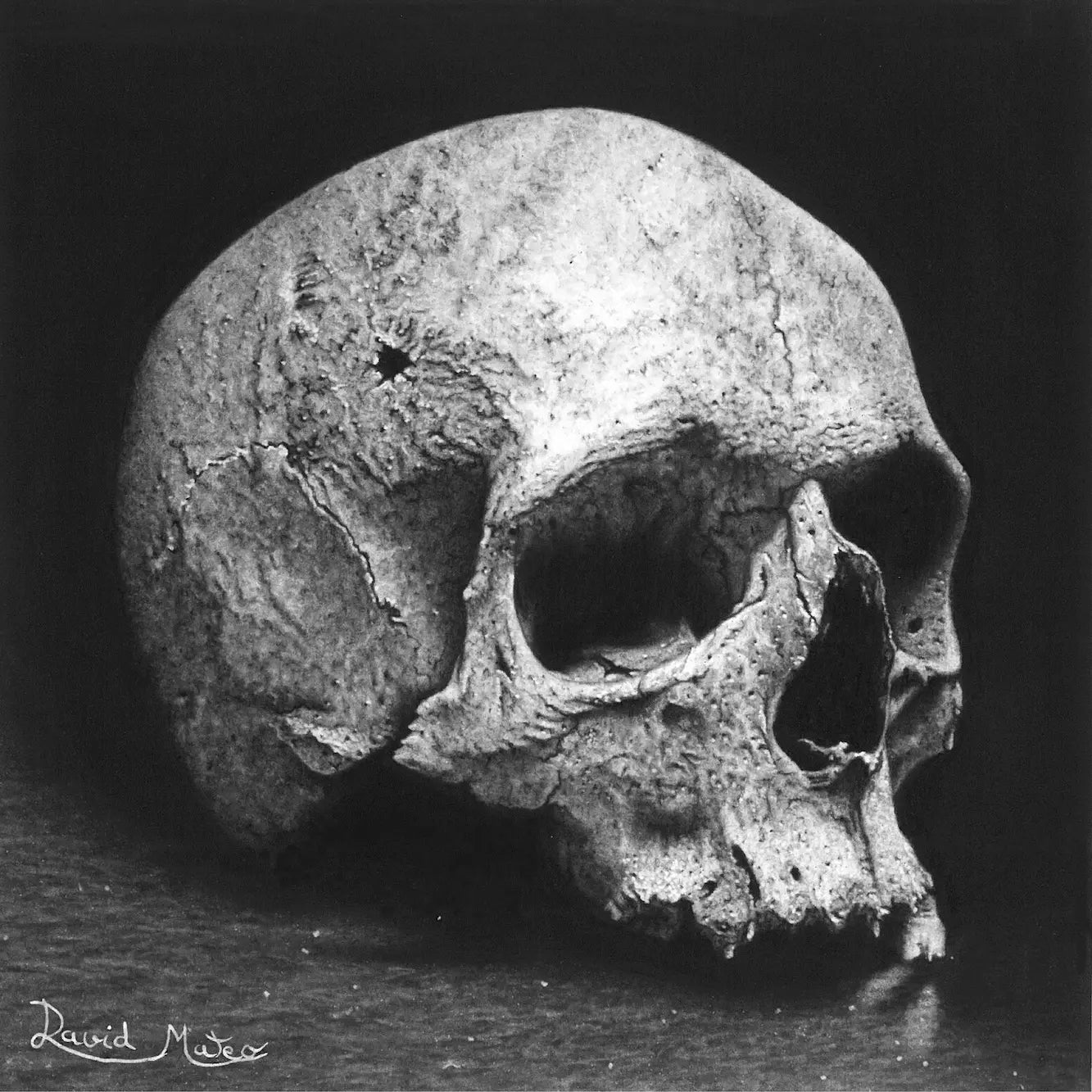 Dibujo a lápiz para cuadros modernos de arte gótico con una calavera hiperrealista dibujada a mano por el artista David Mateo.