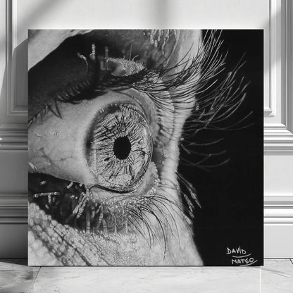 Dibujo a lápiz del hiperrealismo de un ojo humano en primer plano del artista David Mateo.