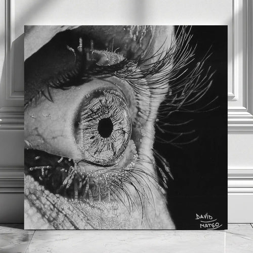 Dibujo a lápiz del hiperrealismo de un ojo humano en primer plano del artista David Mateo.