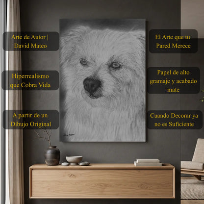 Dibujo a lápiz realista de un perro. Retrato de la mascota de David Mateo.
