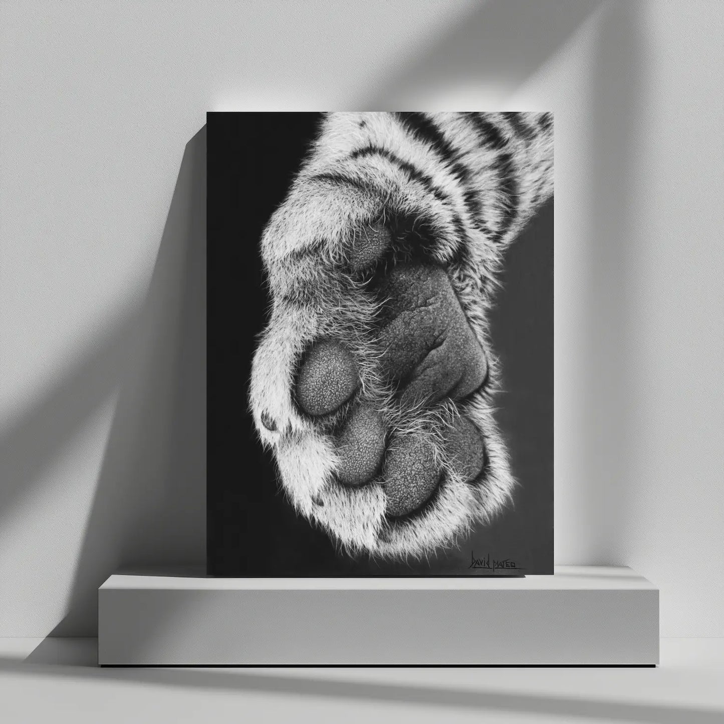 Dibujo a lápiz de una zarpa de tigre. Lámina decorativa de animales salvajes para decoración de interiores.