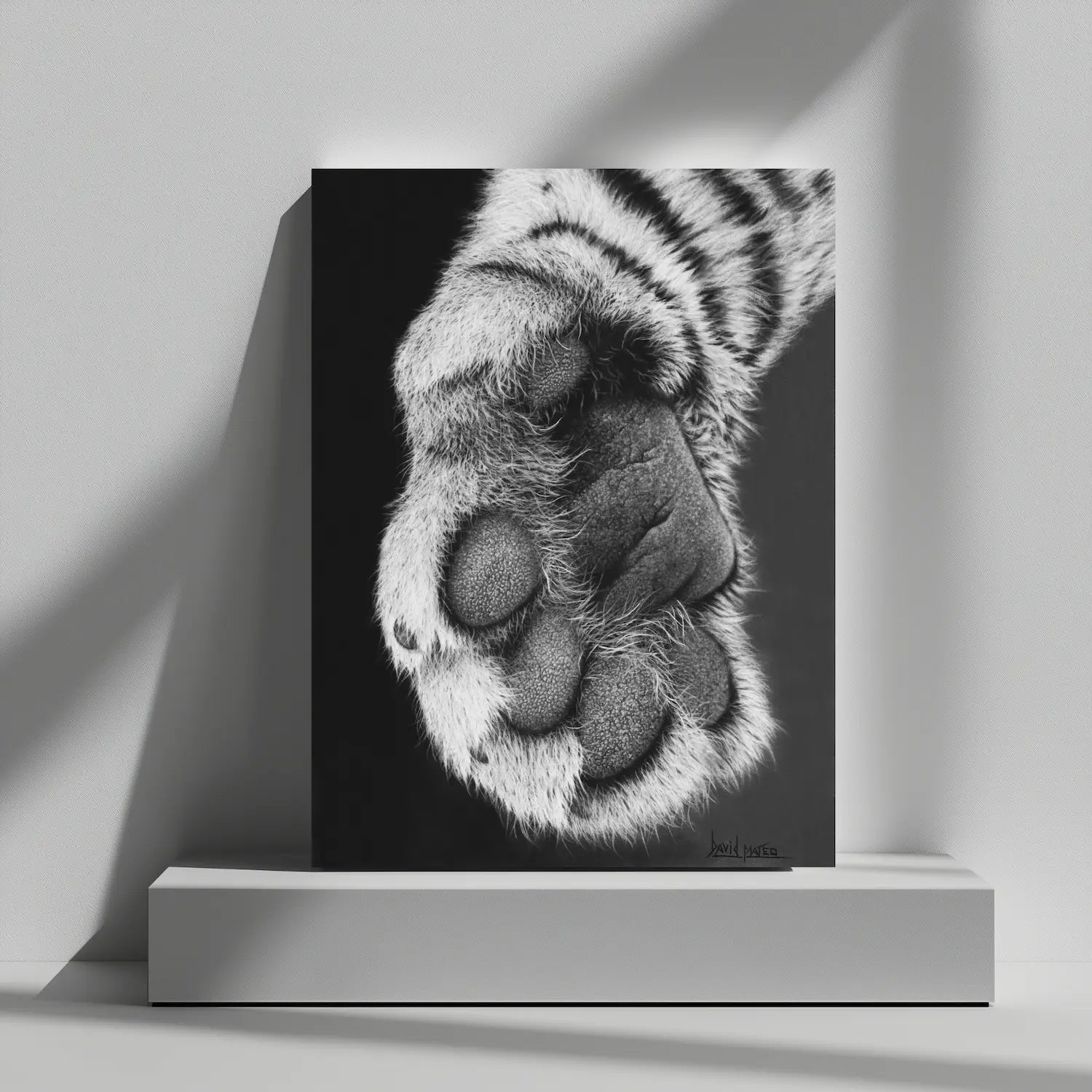 Dibujo a lápiz de una zarpa de tigre. Lámina decorativa de animales salvajes para decoración de interiores.