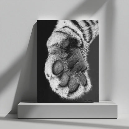 Dibujo a lápiz de una zarpa de tigre. Lámina decorativa de animales salvajes para decoración de interiores.