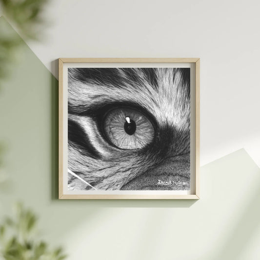 Primer plano del ojo de un tigre: un dibujo a carboncillo con un nivel de detalle extremo en el iris y la textura del pelaje. Exhibe técnica de hiperrealismo.