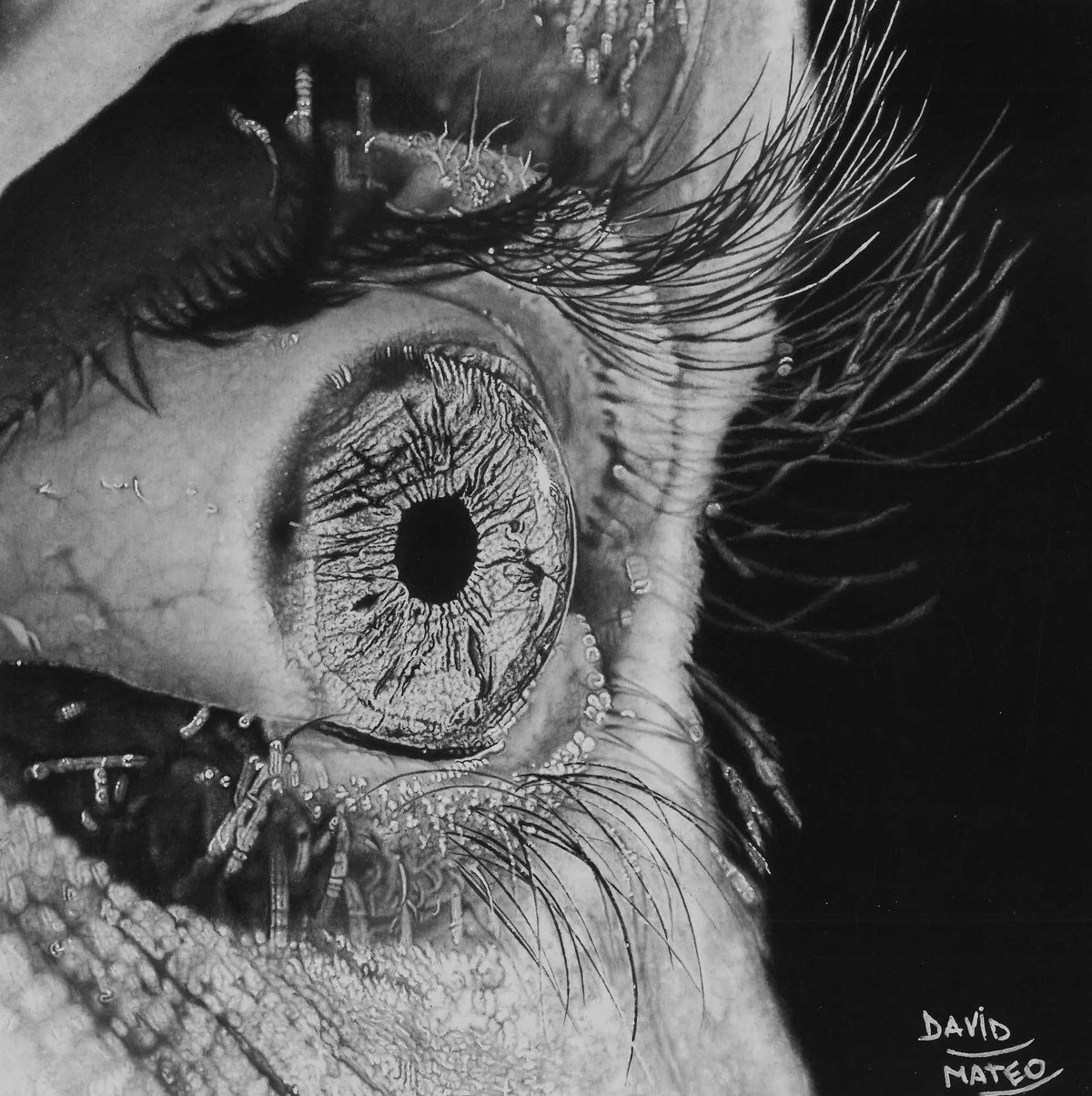 Dibujo realista a carboncillo del hiperrealismo de un ojo humano en primer plano de David Mateo.
