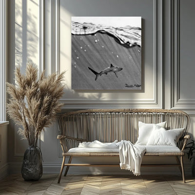 Ilustración de un tiburón hiperrealista realizado con carboncillo nadando bajo la superficie, colgado en una pared de un salón minimalista. Decoración de interiores de animales salvajes.