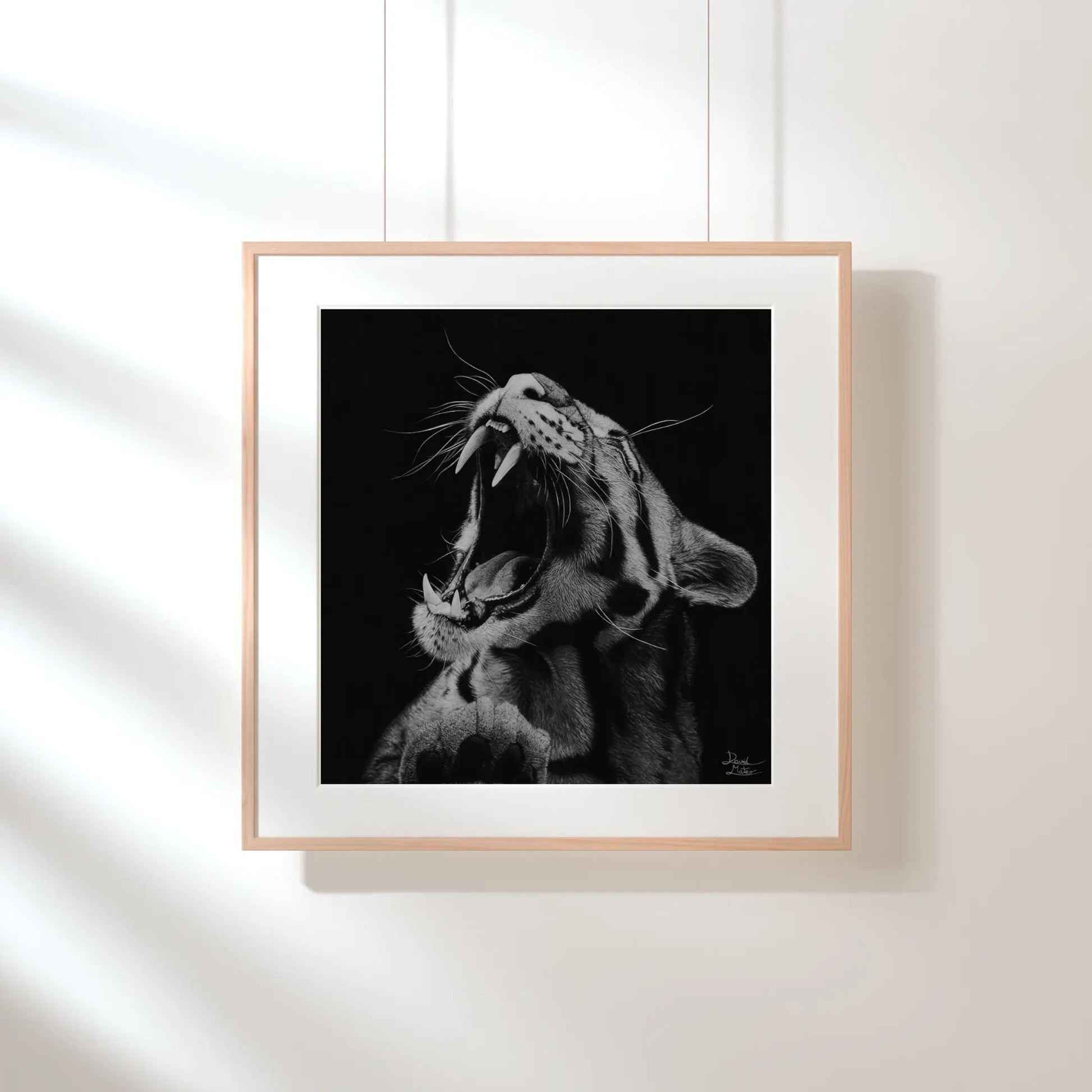 Impresión de arte salvaje que muestra un tigre con la boca abierta, contrastando la ferocidad del dibujo con un fondo de mantas de punto suaves y cálidas.