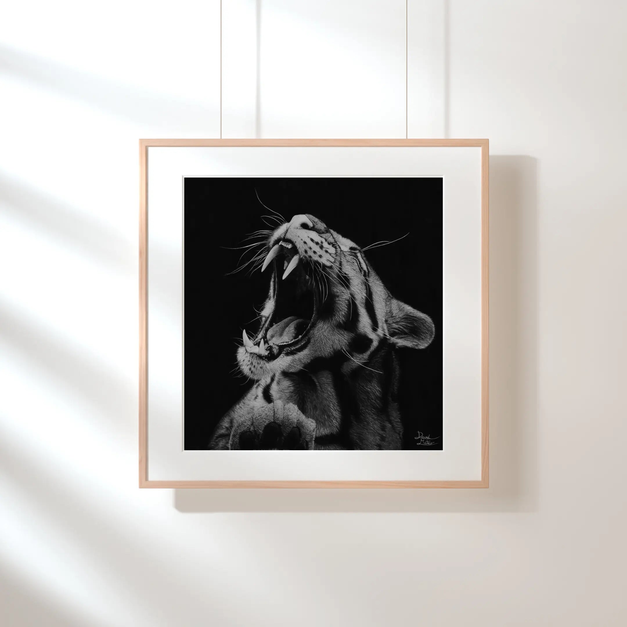 Impresión de arte salvaje que muestra un tigre con la boca abierta, contrastando la ferocidad del dibujo con un fondo de mantas de punto suaves y cálidas.