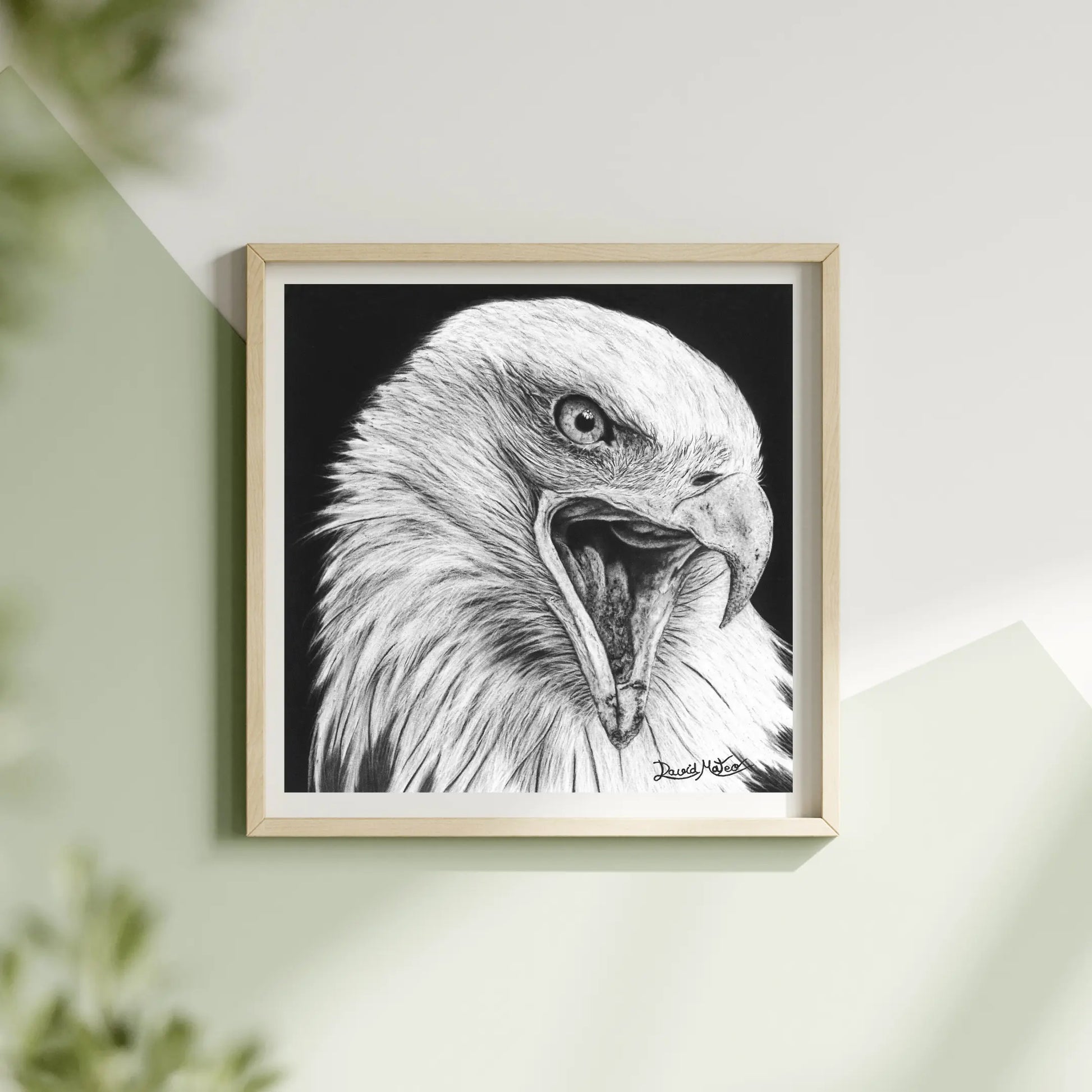 Primer plano del águila con el pico abierto: un dibujo a carboncillo con detalle extremo en cada pluma. Exhibe la maestría del hiperrealismo de David Mateo.