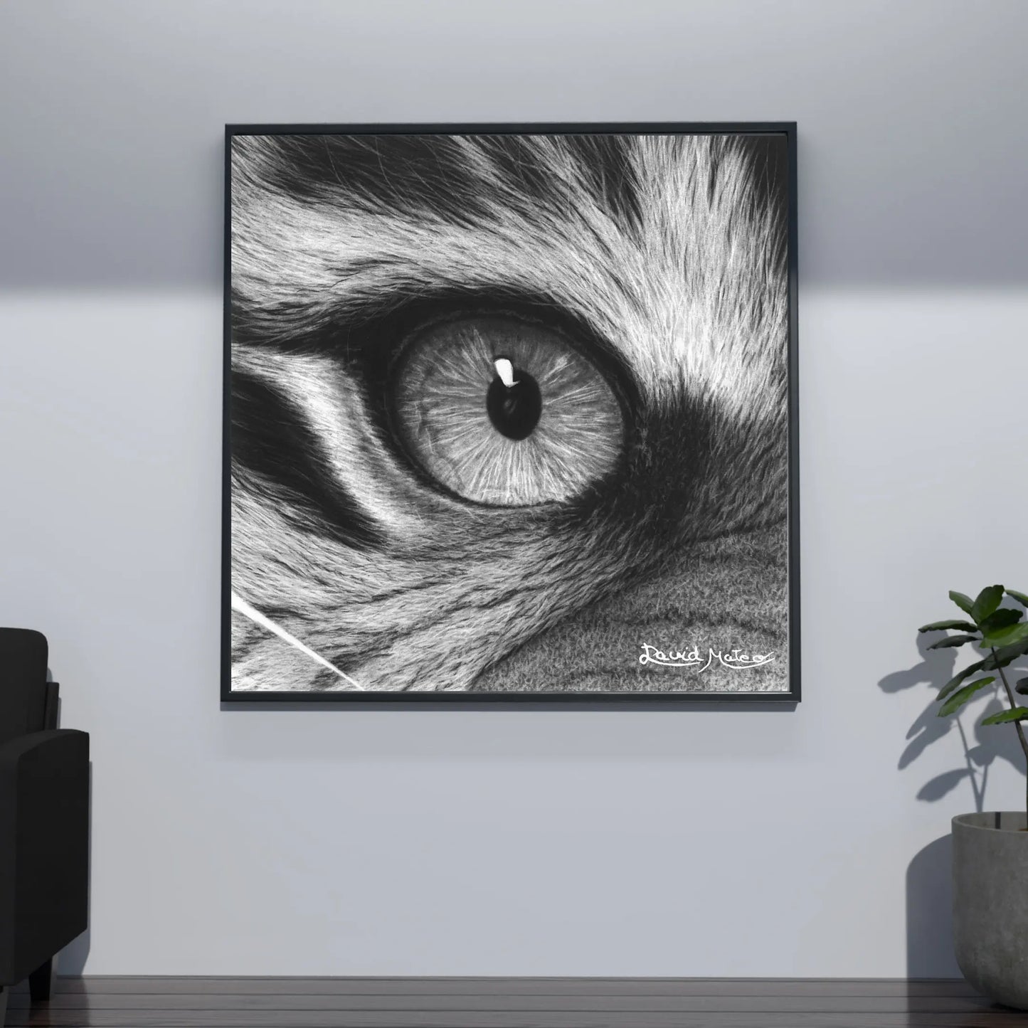 El alma del depredador. Lámina de la mirada de un tigre que genera una profunda reflexión. Un poderoso punto focal monocromático.