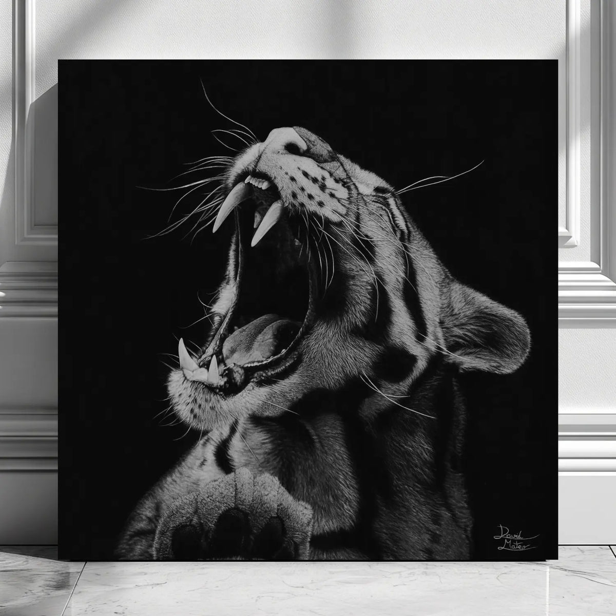 Lámina decorativa para pared de un dibujo realista de un leopardo rugiendo del artista David Mateo.